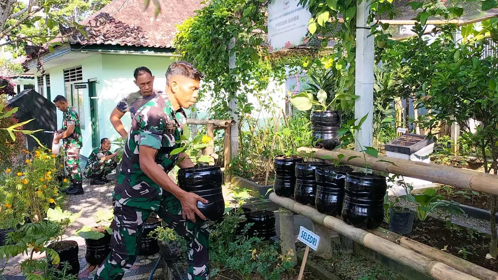 Bersatu Dengan Alam Untuk Indonesia Hijau, Kodim 1626/Bangli Siapkan 10.000 Bibit Pohon Keras dan Buah untuk Menjaga Kelestarian Alam Bangli