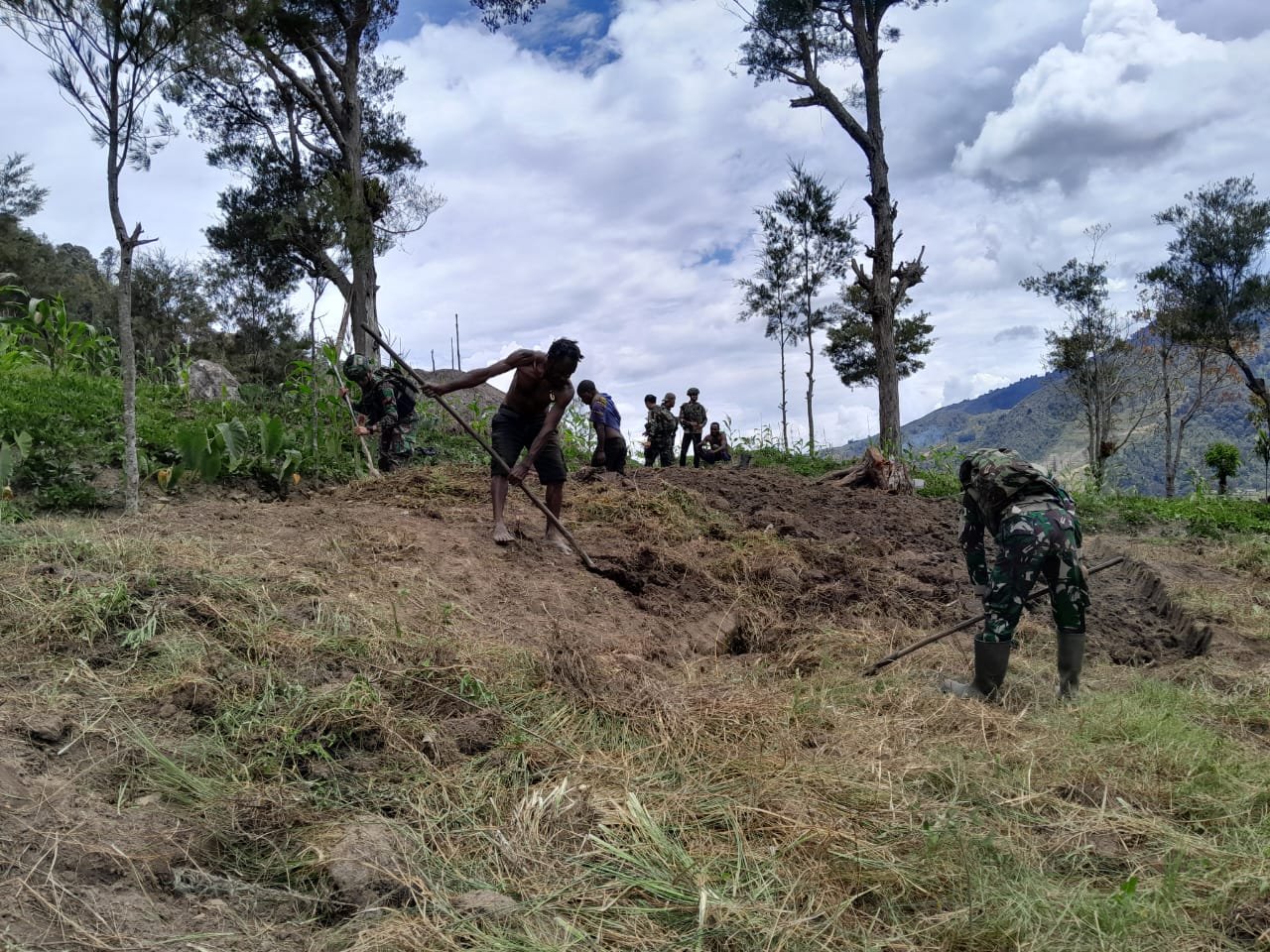 Satgas Yonif 614/Raja Pandhita Hadir Dalam Membantu Warga saat Membuka Lahan Perkebunan