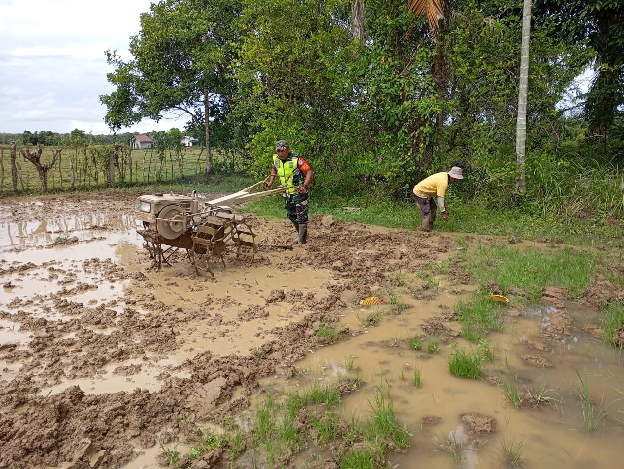 Wujud Kepedulian Babinsa posramil 06/Bubon Bantu Warga Bajak Sawah
