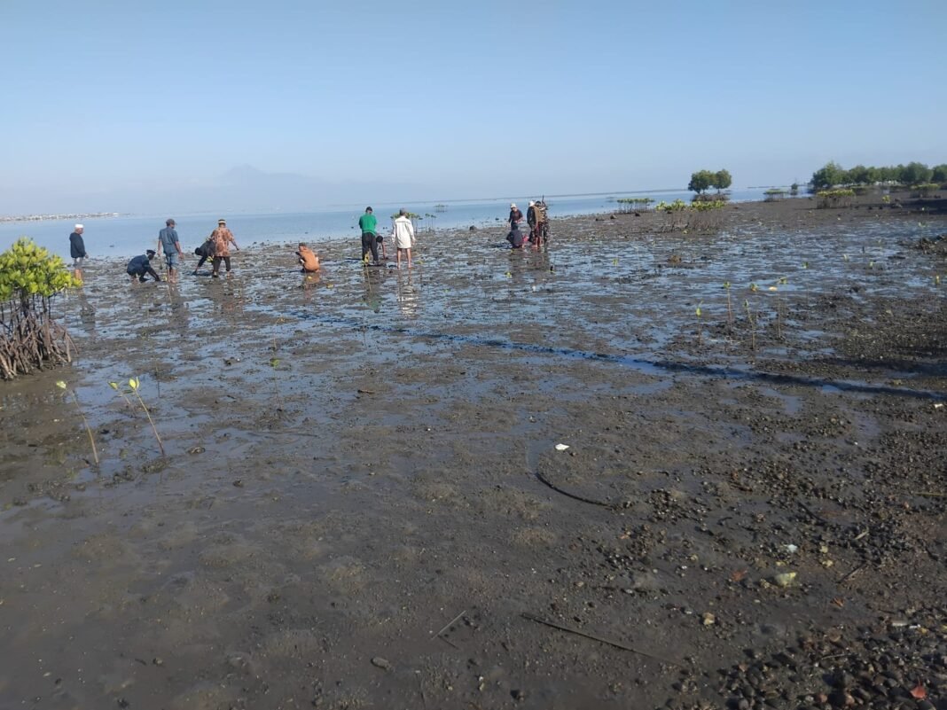 Satgas TMMD 125 dan Warga Kaung Kompak Hijaukan Pesisir dengan Mangrove