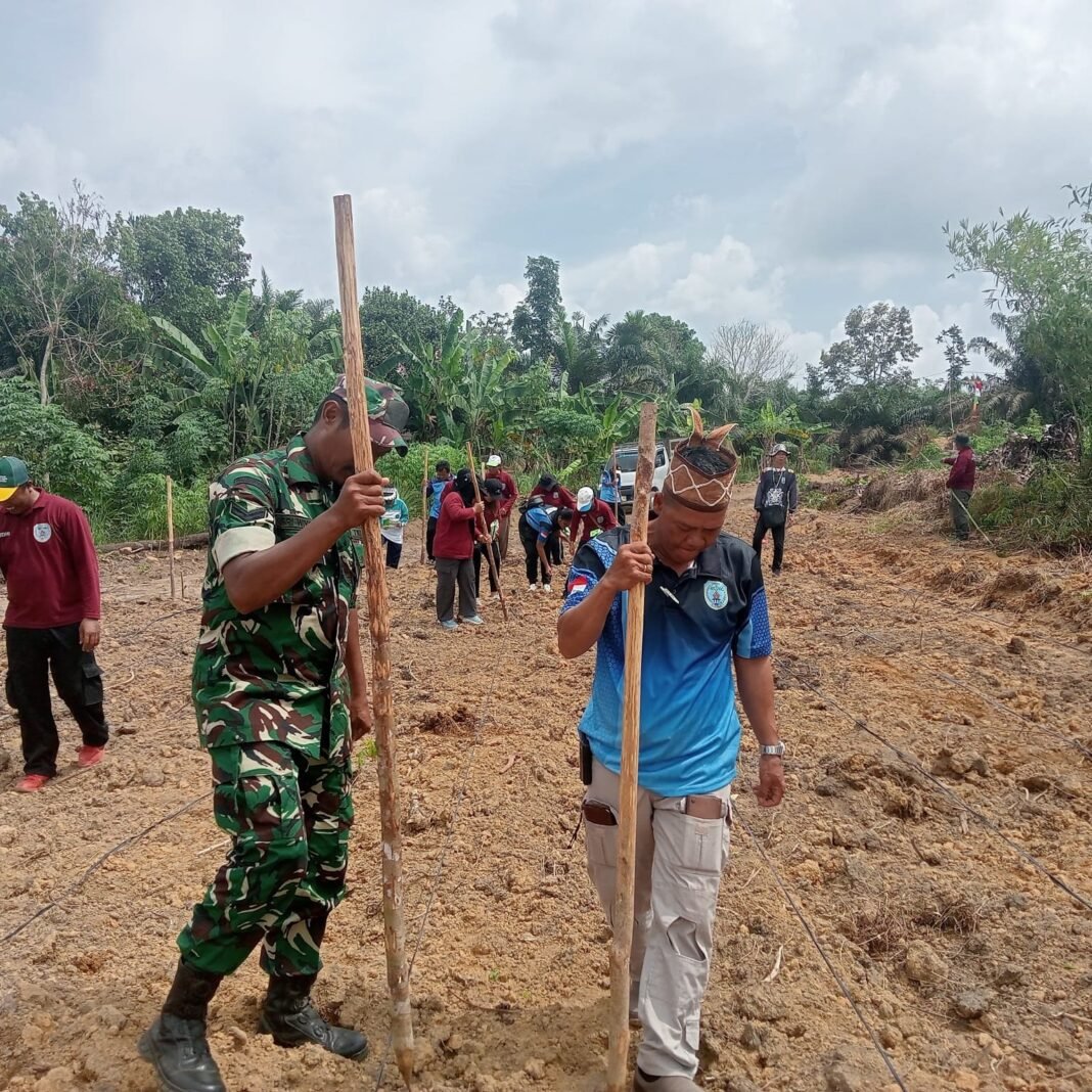 Satgas TMMD 125, Bhabinkamtibmas, dan Warga Batu Kotam Bersama Wujudkan Ketahanan Pangan