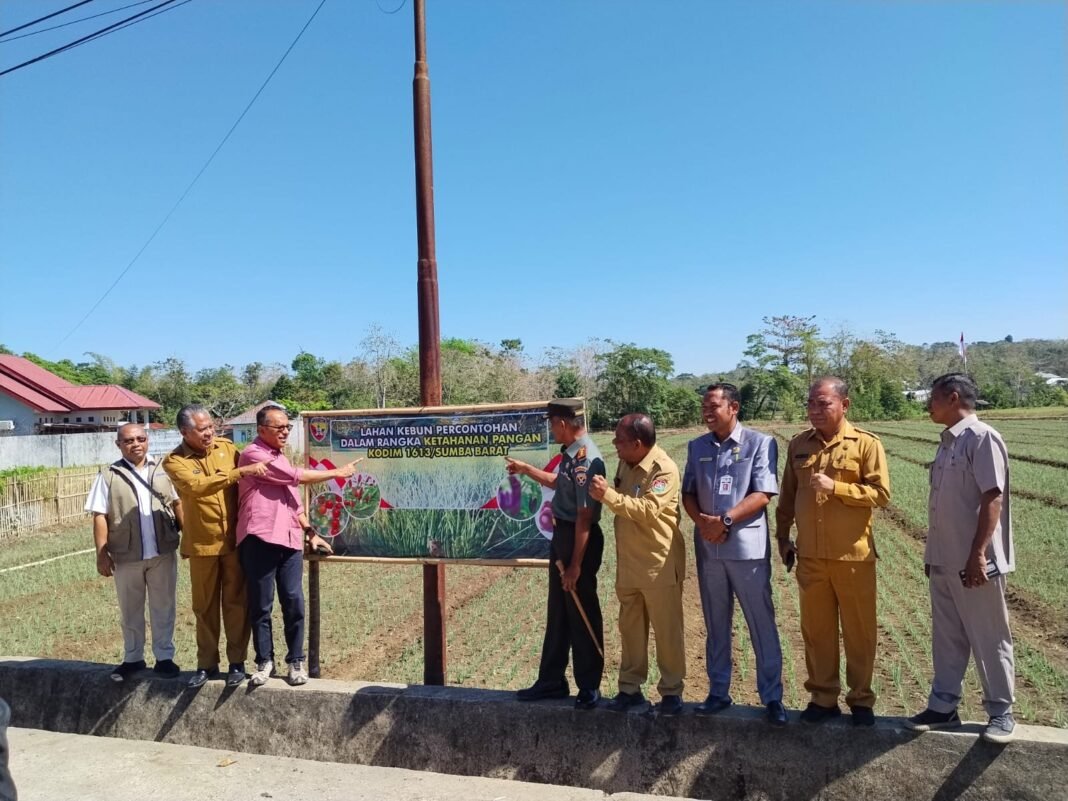 Program Ketahanan Pangan Kodim 1613/Sumba Barat Dapat Dukungan DPR RI