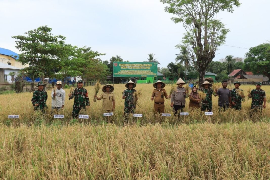 Dukung Ketahanan Pangan, Kodim 1426 Takalar Laksanakan Panen Raya Padi