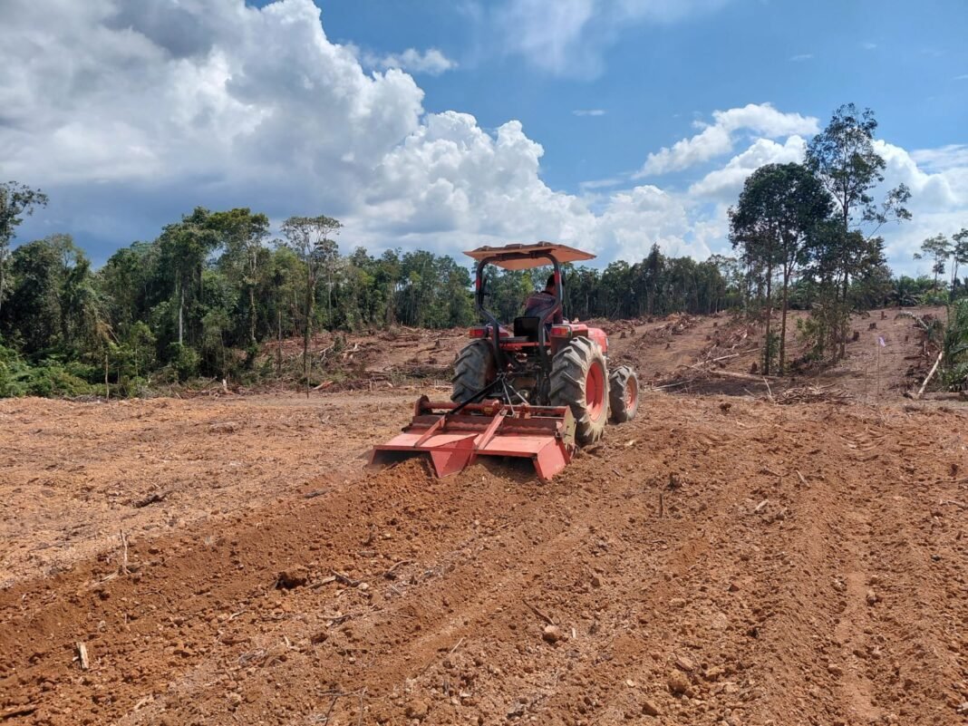 Satgas TMMD ke-125 Bersama Warga Batu Kotam Tanam Jagung 1 Hektar untuk Ketahanan Pangan