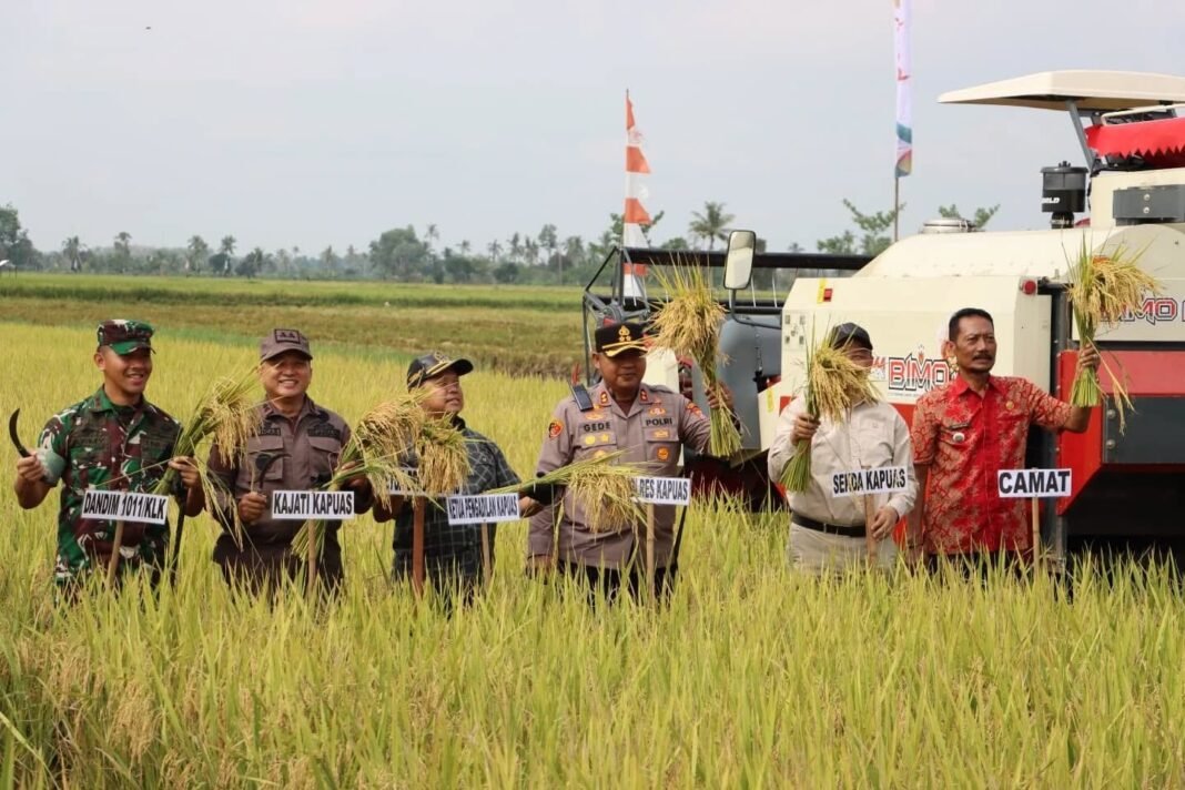 Dandim 1011/Kuala Kapuas Hadiri Panen Raya Bersama Gubernur Kalteng.