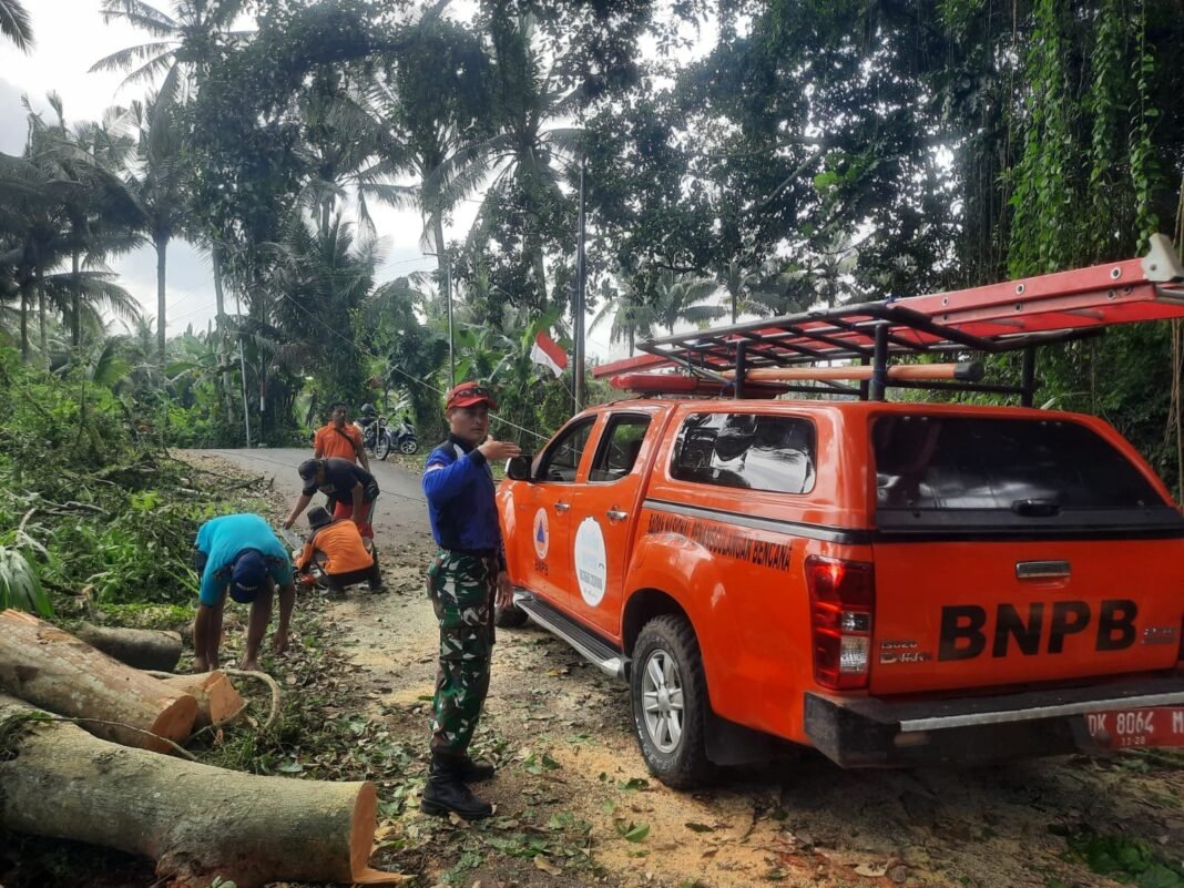 Jalur lalu Lintas Tetutup Dahan Pohon, Babinsa Manduang Bersinergi Lakukan Evakuasi