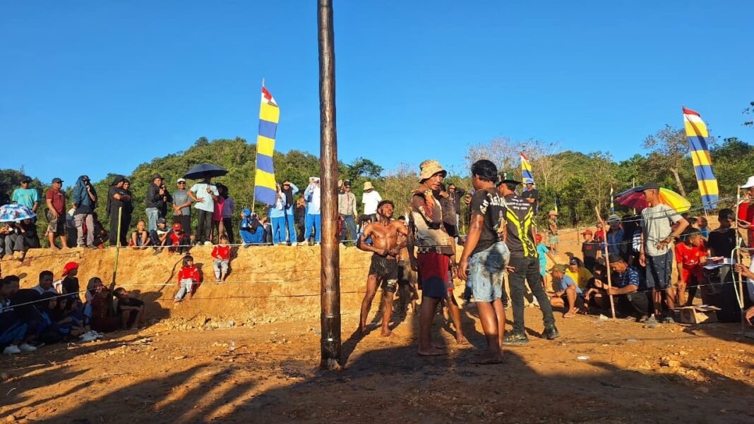 Meriahkan HUT ke-80 RI, Satgas TMMD 125 dan Warga Asinua Gelar Lomba Panjat Pinang