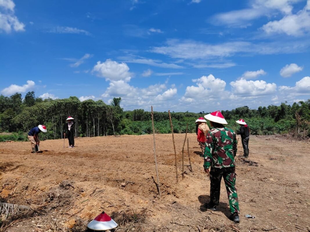 TMMD Reguler ke-125 Kodim 1017/Lmd Dorong Kemandirian Pangan Warga Desa Batu Kotam