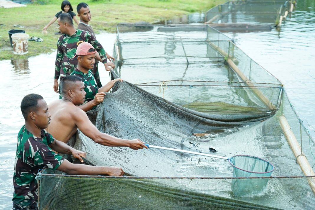 Inovasi Ketahanan Pangan, Korem 012/TU Intensifkan Budidaya Ikan Nila