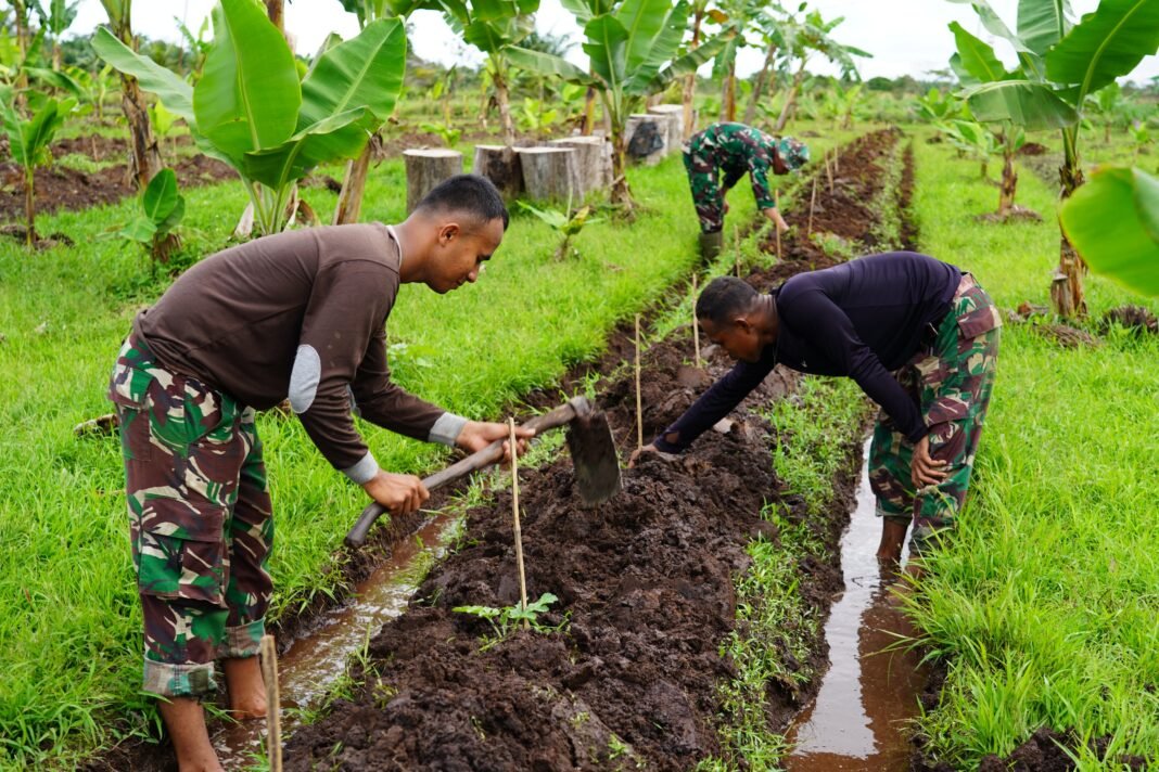 Langkah Konkret Korem 012/TU Dukung Ketahanan Pangan, Pemanfaatan Lahan 40 Ha