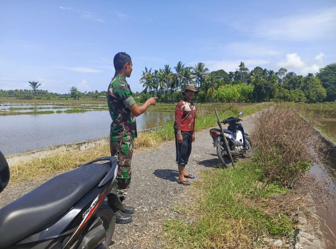 TNI Aktif Dampingi Petani, Pastikan Kesejahteraan dan Produktivitas Tetap Terjaga