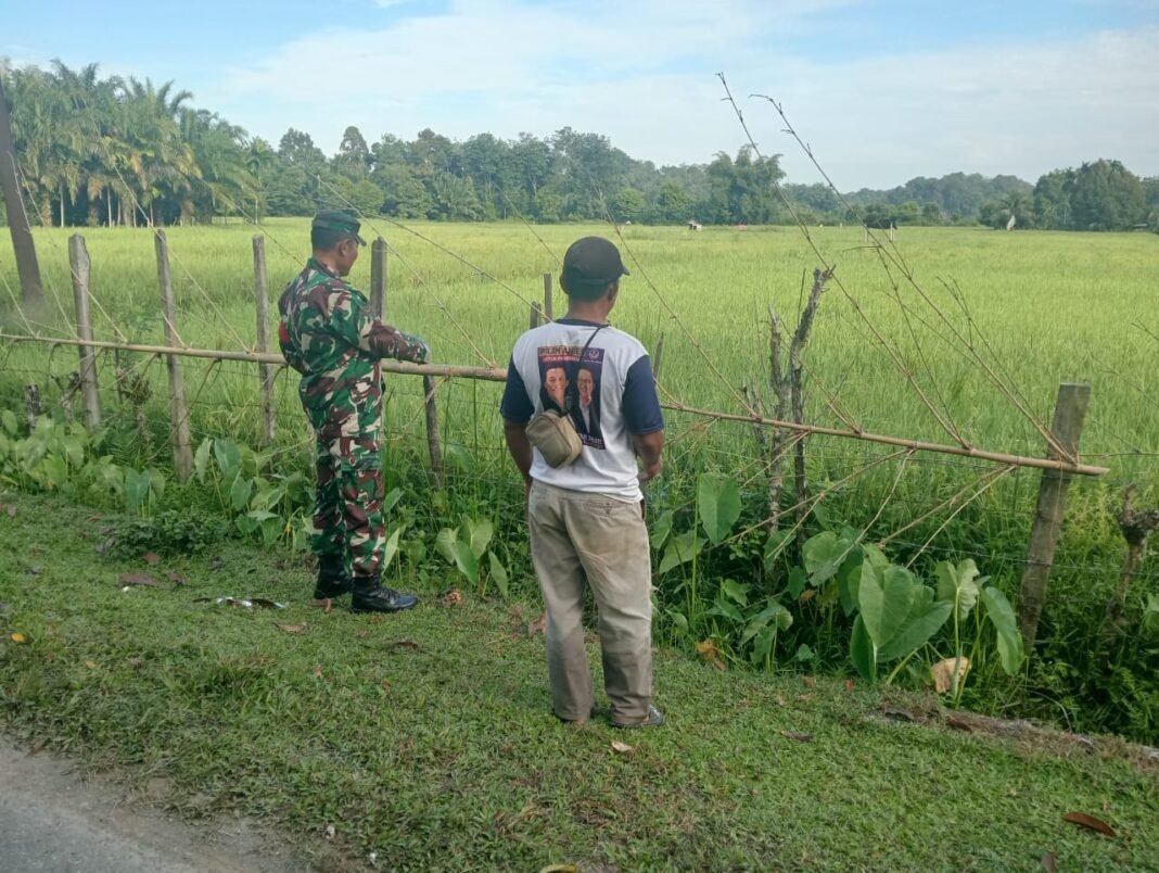 Serka Medi Subandi, Melaksanakan Pendampingan kepada Petani