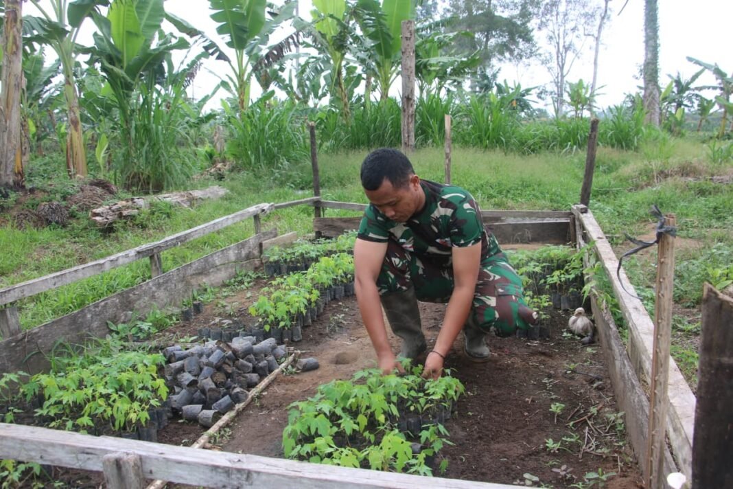 Program Ketahanan Pangan Korem 012/TU: Mengelola Lahan dengan Metode Organik