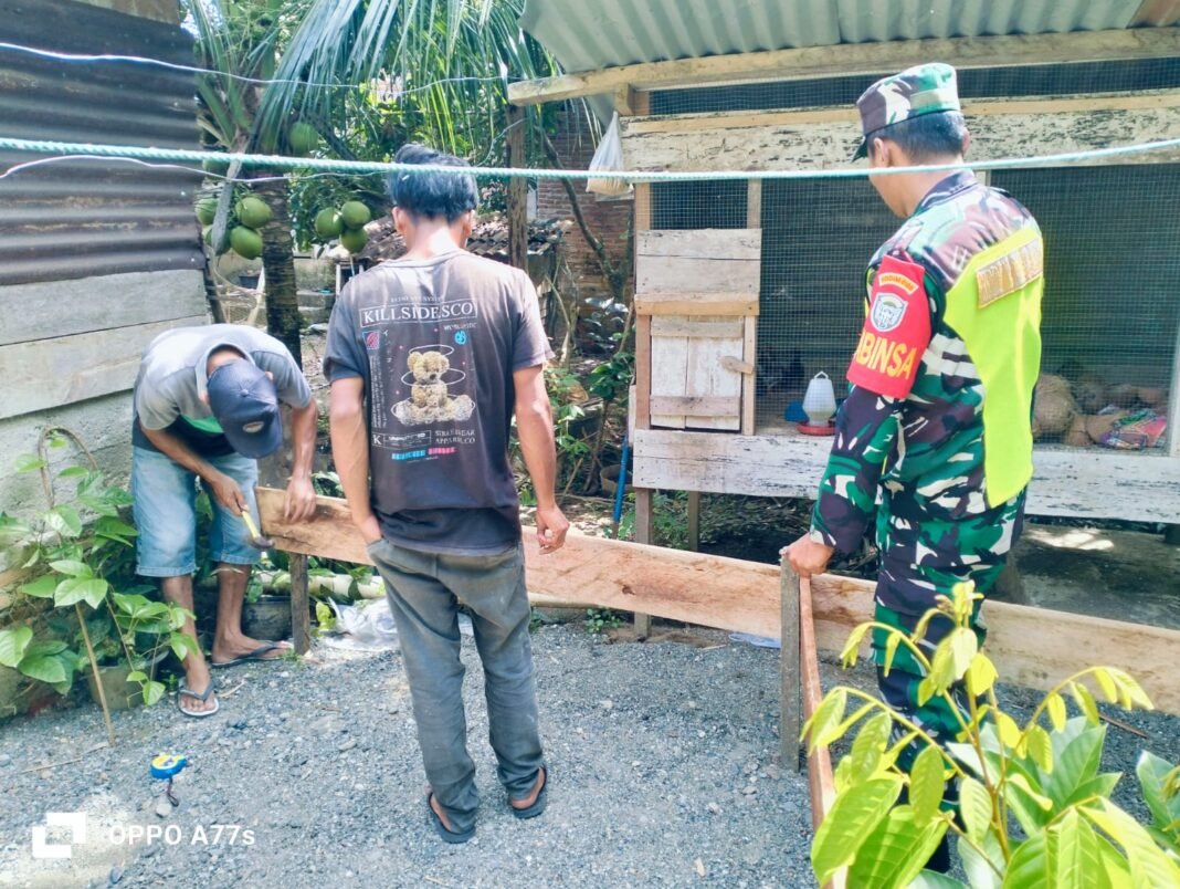 Wujud Kepedulian Babinsa Koramil 03 Kaway XVI Bantu Warga