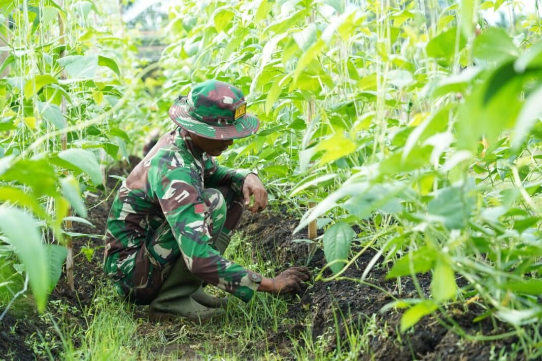 Dari Tangan Prajurit Tumbuh Harapan Ketahanan Pangan Bangsa