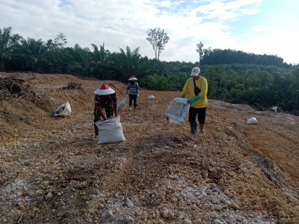 TMMD Reguler Ke-125 Kodim 1017/Lmd Perkuat Ketahanan Pangan di Desa Batu Kotam