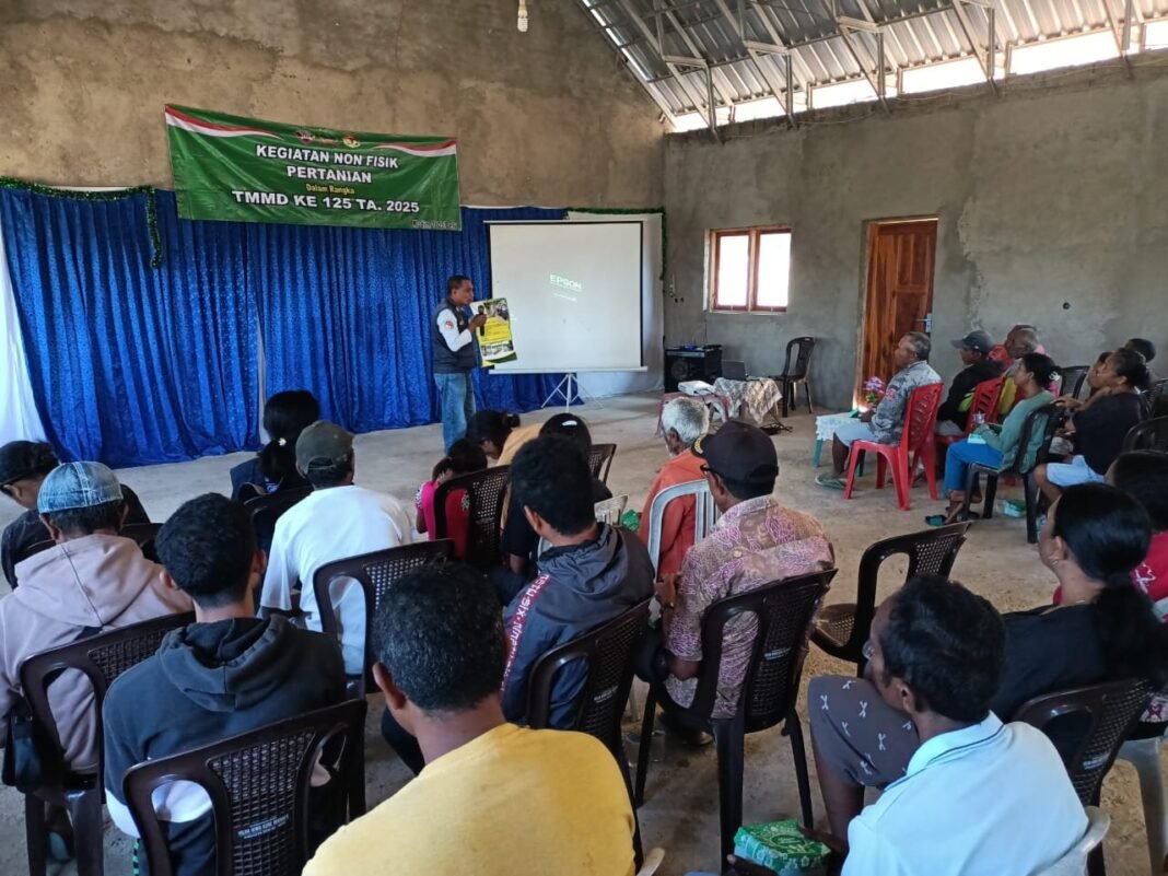 TMMD 125 Kodim 1605/Belu Gelar Penyuluhan PertanianDorong Peningkatan Produktivitas Padi Sawah