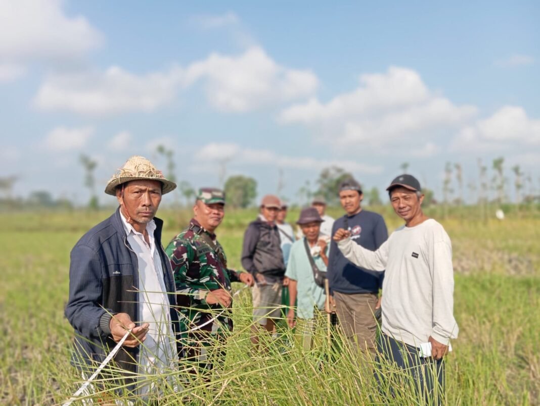 Dukung Kelancaran Optimasi Lahan, Babinsa Bantu Pengukuran Lahan Tresier di Barebelik