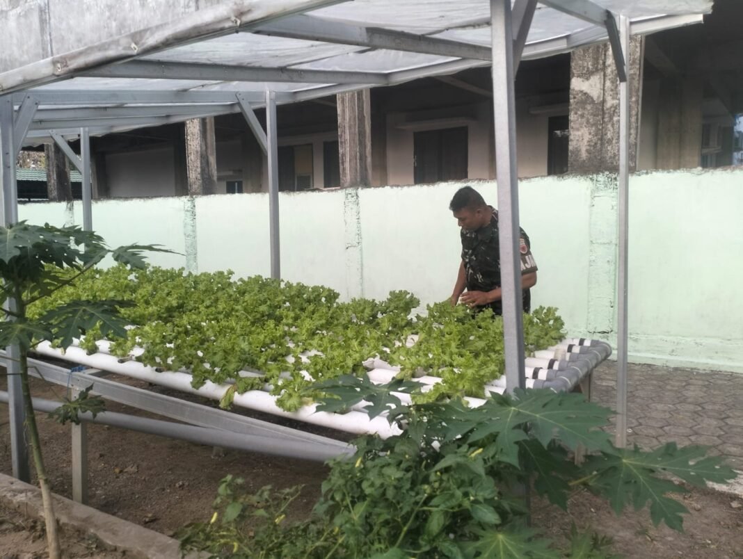 Piket Makodim Tampak Sedang Memberi Makanan Ikan, Ayam Petelur dan Merawat Tanaman Di Pekarangan Kantor