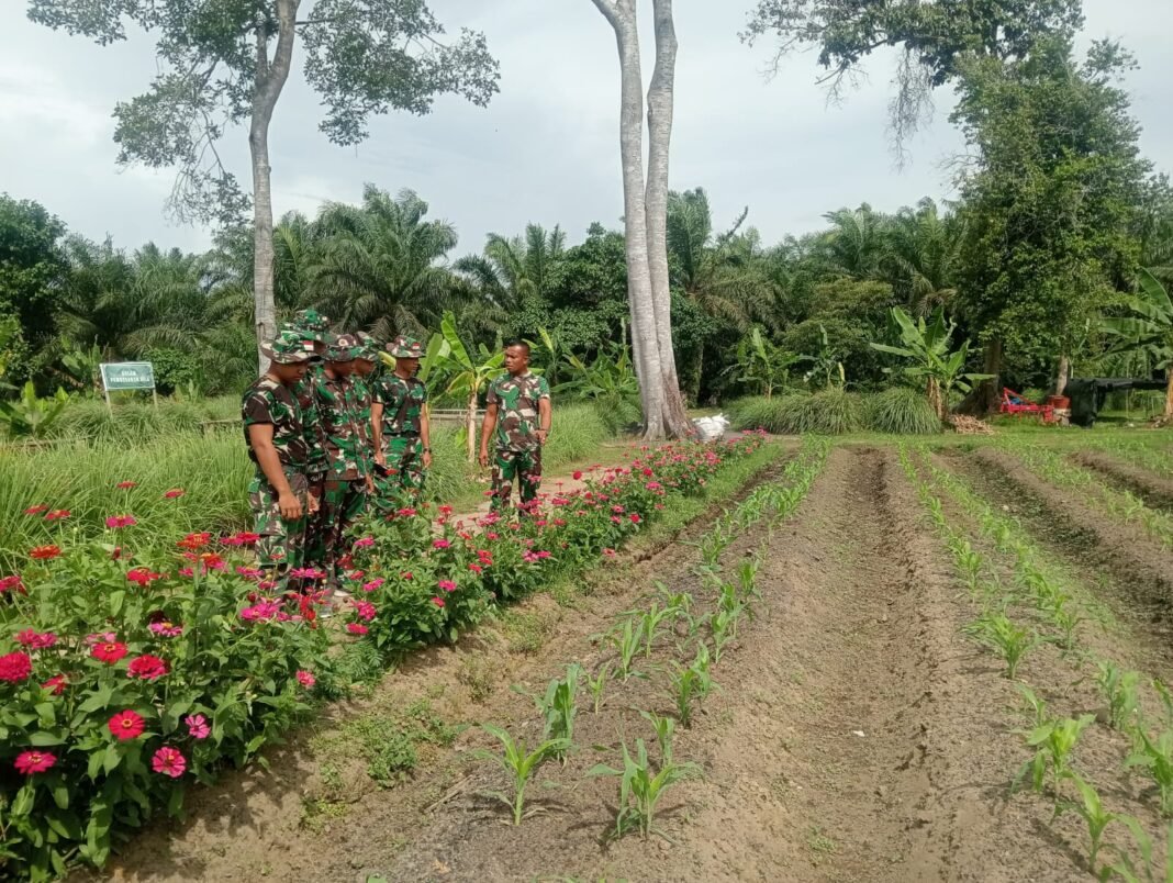 Prajurit TNI Dilatih untuk Mendukung Ketahanan Pangan di Wilayah