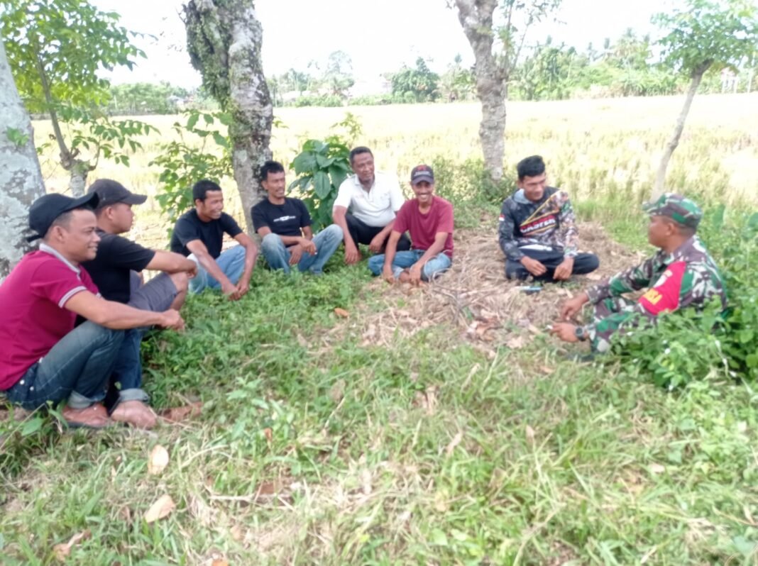 Babinsa Jajaran Korem 012/Teuku Umar Dukung Petani dalam Mengolah Lahan