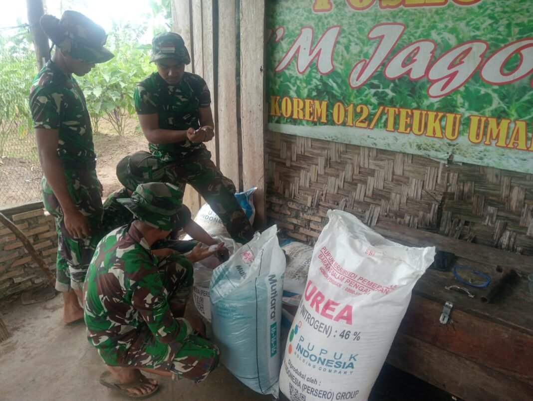 Kader Pertanian Yonif 856/SBS Dibekali Ilmu Pertanian oleh Korem 012/TU