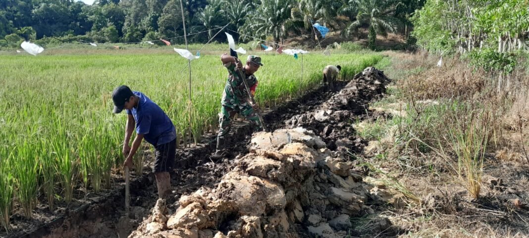 Babinsa Koramil 03/Setia Bakti Bersama Warga Lhok Bot Giatkan Karya Bakti Pembuatan Parit Irigasi