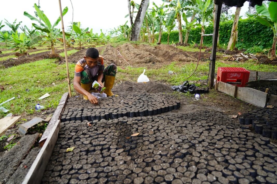 Penanaman Terong Hijau di Korem 012/TU: Wujud Nyata Dukungan terhadap Ketahanan Pangan Nasional