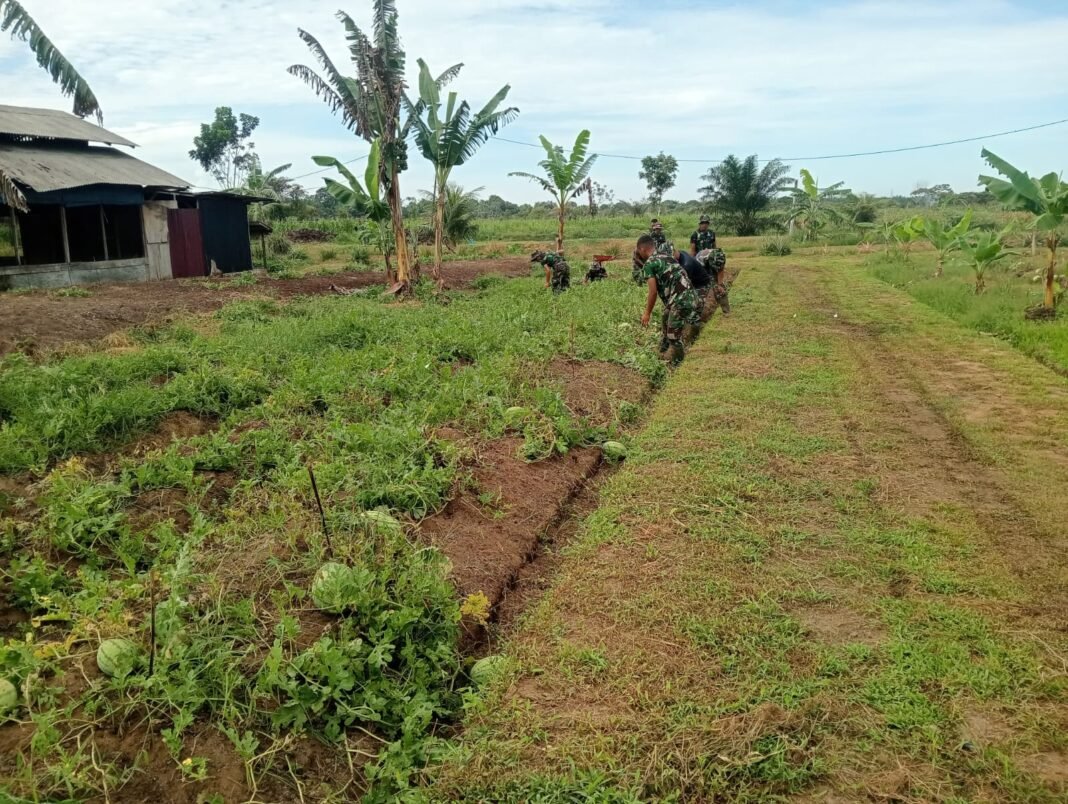 Korem 012/TU Perkuat Ketahanan Pangan melalui Kegiatan Pertanian yang Berkelanjutan