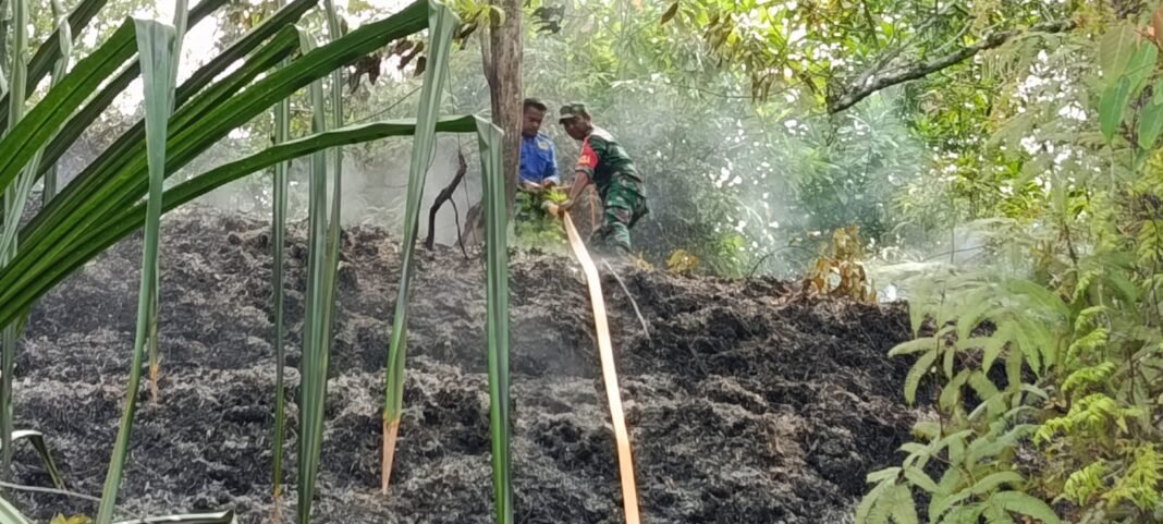 Kebakaran Lahan Terjadi di Kawasan Gunung Malem Aceh Jaya, TNI-Polri dan Masyarakat Berhasil Padamkan Api