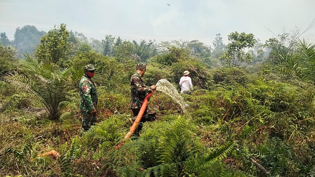 Babinsa Koramil 09/Samatiga Bersama Polsek, BPBD, dan Warga Tangani Karhutla di Desa Deuah dan Pinem dengan Mesin Air