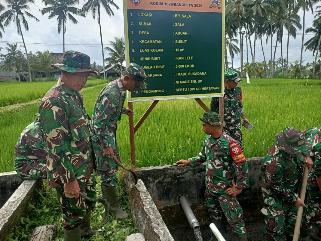 Dukung Kemandirian Pangan, Anggota Koramil 02/Susut Hadiri Penebaran Bibit Ikan Lele Dumbo