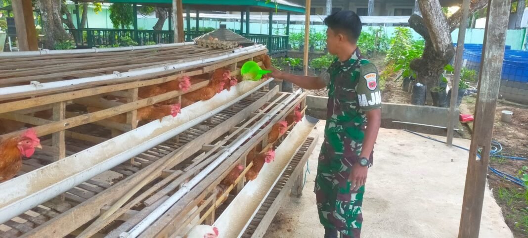 Personel Kodim 1426 Takalar Dan Koramil Jajaran Lakukan Perawatan Tanaman Di Pekarangan Kantor