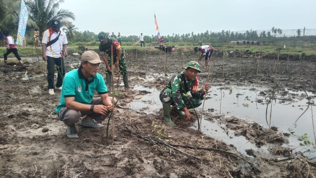 Danramil 1014-08/Jelai Hadiri Penanaman Mangrove di Sukamara: Wujud Nyata Semangat Sumpah Pemuda