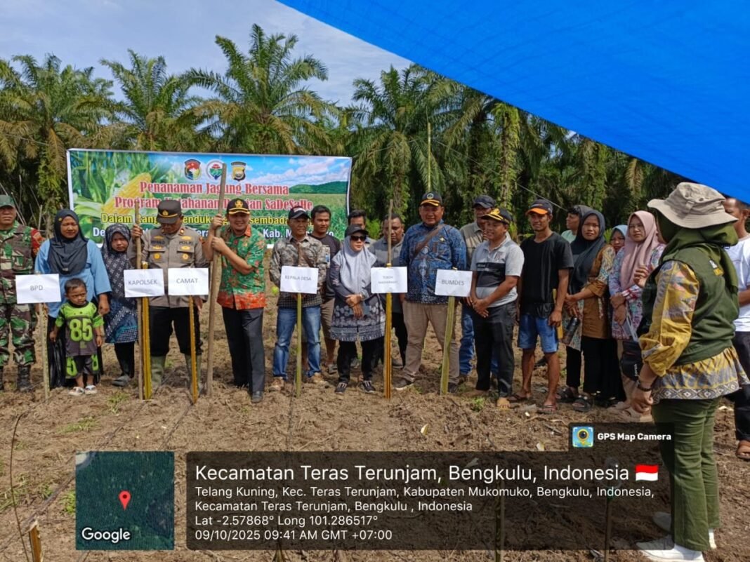 Dukung Ketahanan Pangan, Kodim 0428/Mukomuko Tanam Jagung 1 Hektar