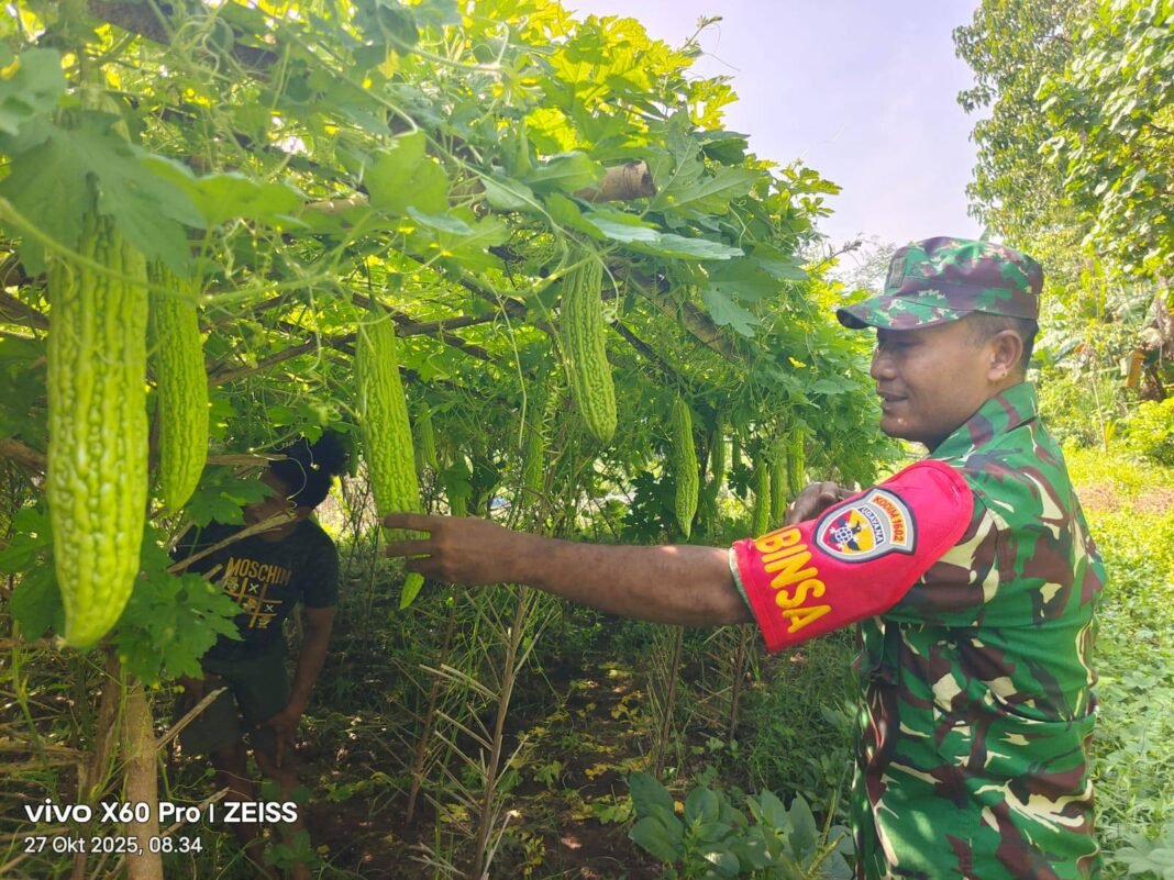 Serma Nasrudin Latif Ajak Warga Ende Wujudkan Ketahanan Pangan Lewat Panen Sayur