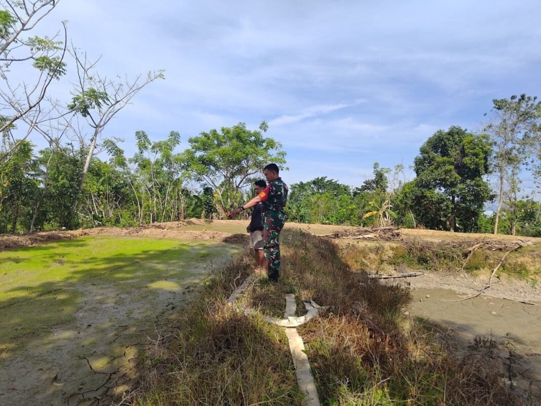 Babinsa 1420-03/Maritengngae Dampingi Petani Tingkatkan Luas Tanam