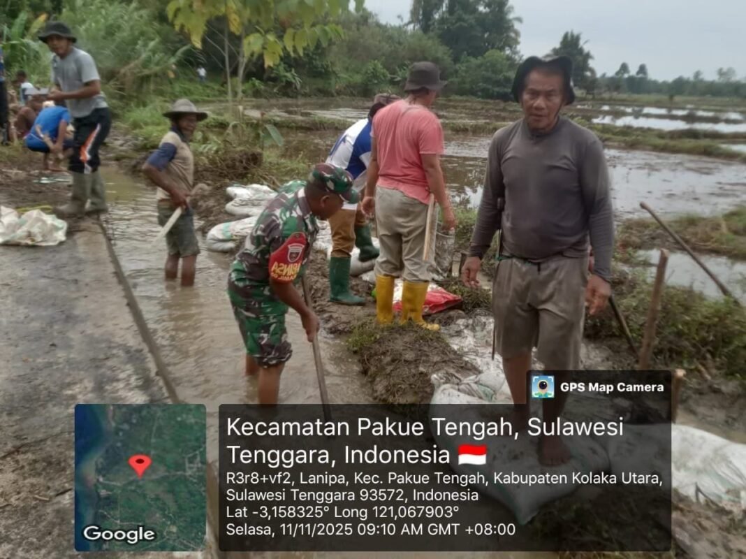 Babinsa Koramil 05/Pakue Bantu Perbaiki Waduk Terdangkalkan Demi Dukung Ketahanan Pangan di Kolaka Utara