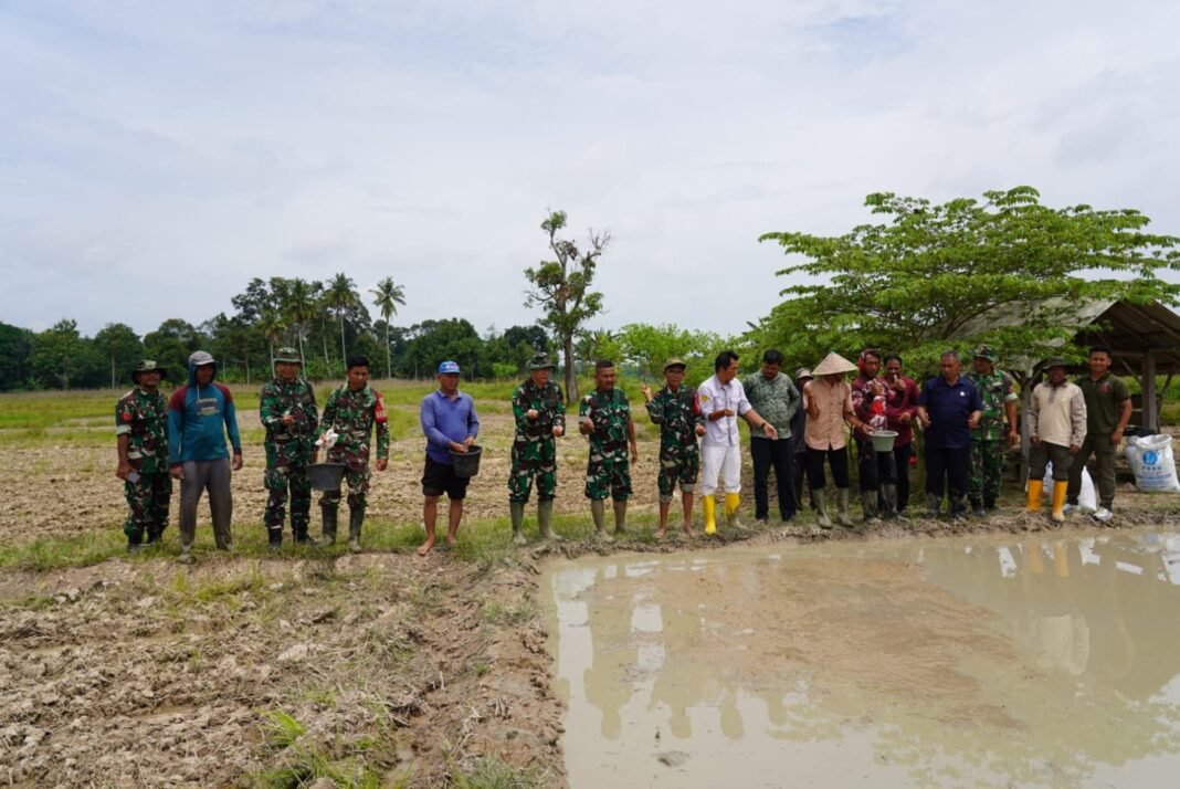 Sukseskan Ketahanan Pangan Nasional, PT Agrinas Pangan Nusantara dan Puslatpur TNI AD Gelar Tabur Benih Padi Gamagora 7