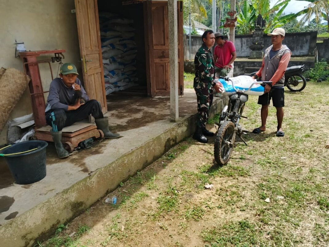 Babinsa Selisihan Hadir Beri Pendampingan Penyaluran Pupuk Bersubsidi bagi Warga Subak Selisihan