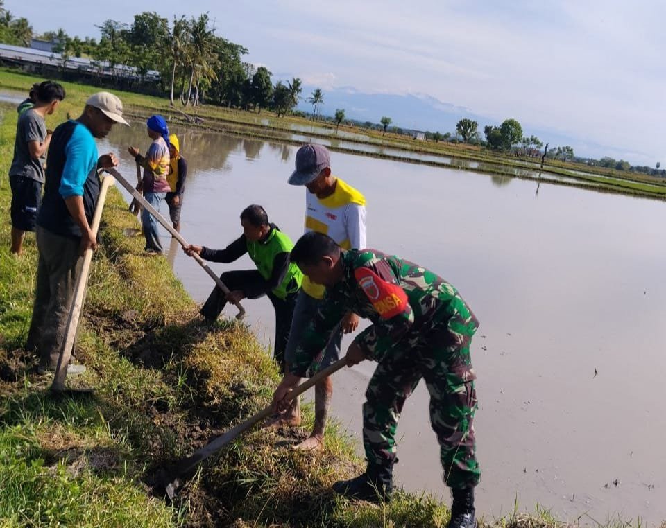Babinsa dan Warga Uluale Bersinergi, Bersihkan Saluran Irigasi Demi Sukseskan Ketahanan Pangan Nasional