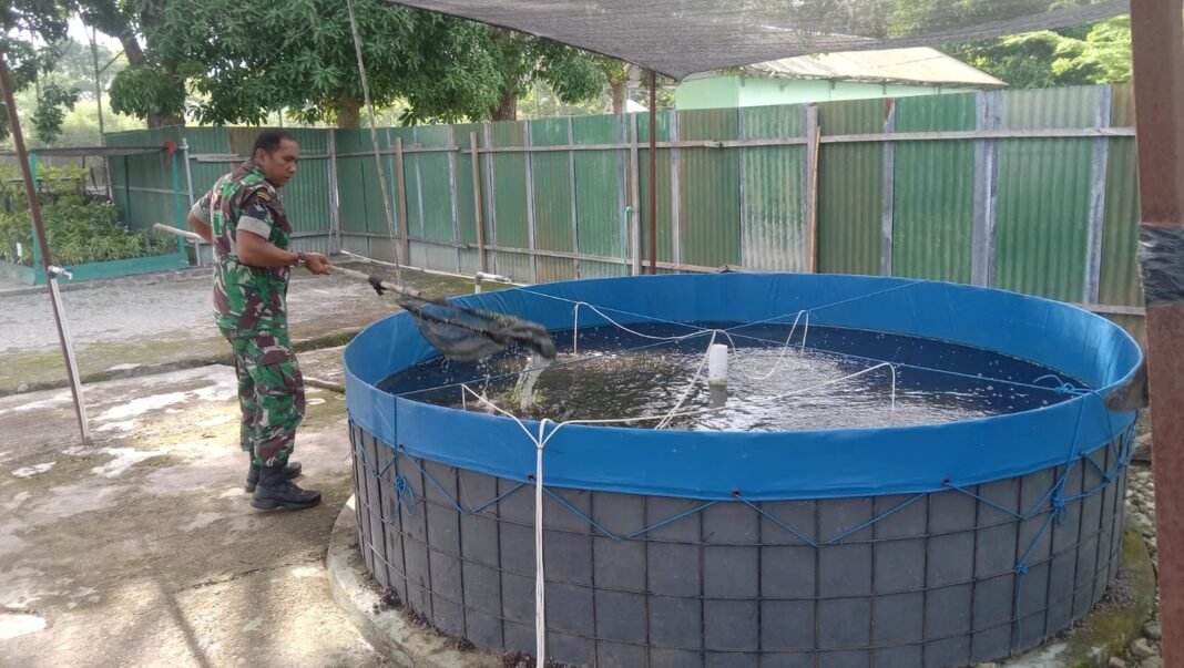 Makodim 1420/Sidrap Gencarkan Program Ketahanan Pangan Melalui Pemanfaatan Lahan Kosong