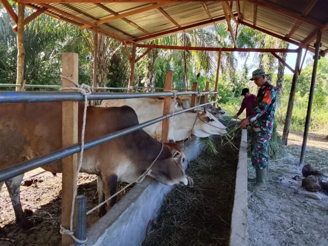 Lewat Komsos, Babinsa Jajaran Korem 012 Tanamkan Kepedulian dan Gotong Royong di Subulussalam