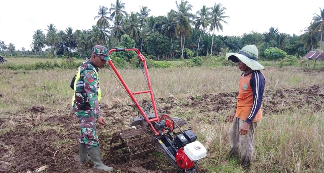Babinsa Koramil 09/Samatiga Turun ke Sawah: Koptu Usuluddin Bantu Pak Banta Saidi Bajak Lahan Pertanian di Gampong Teugoh