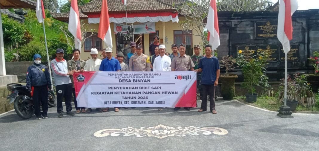 Pendampingan Kegiatan Penyerahan Bibit Sapi Program Ketahanan Pangan (Hewani) Desa Binyan Tahun 2025
