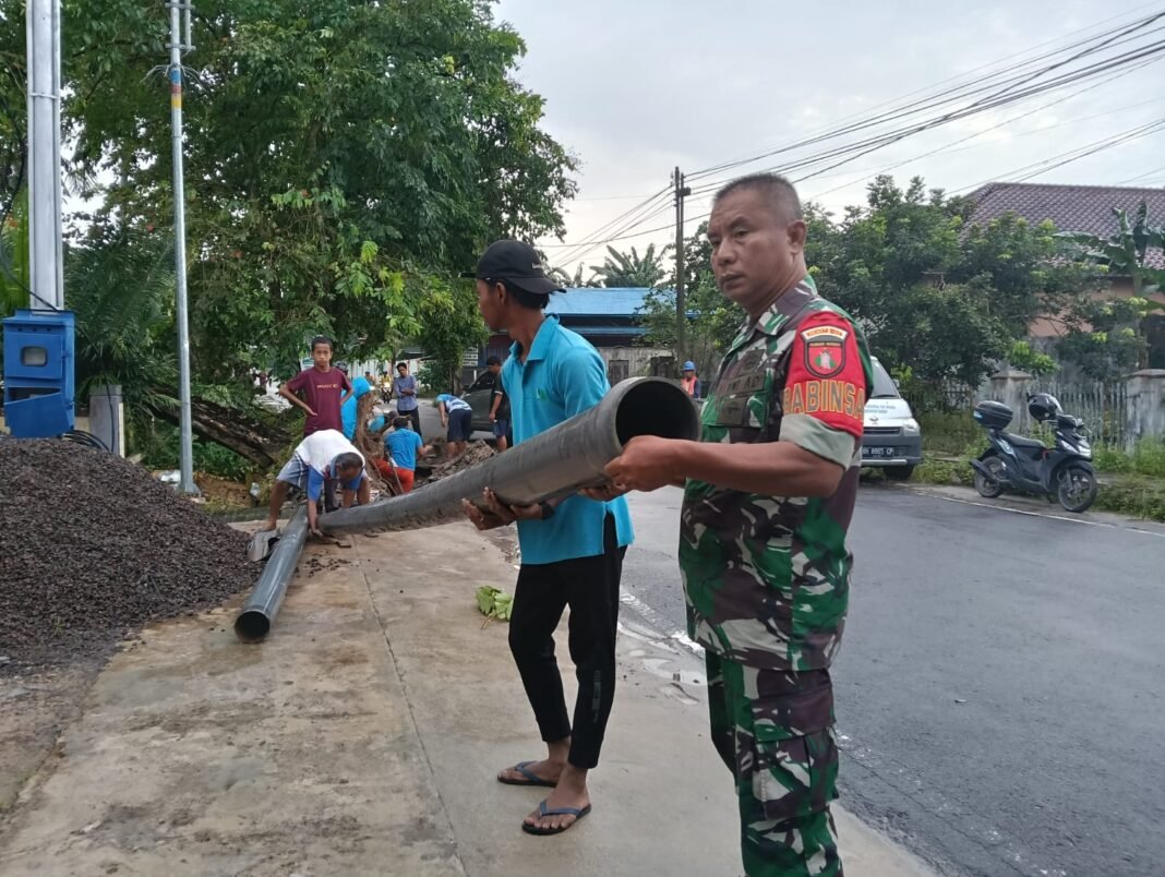 Angin Kencang Sebabkan Pohon Tumbang di Madurejo, Koramil Tanggap Cepat