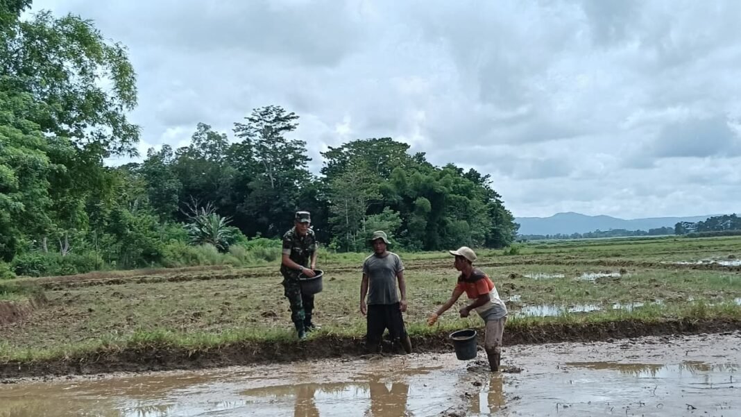 Babinsa Dukung Ketahanan Pangan Melalui Komsos di Sumba Tengah