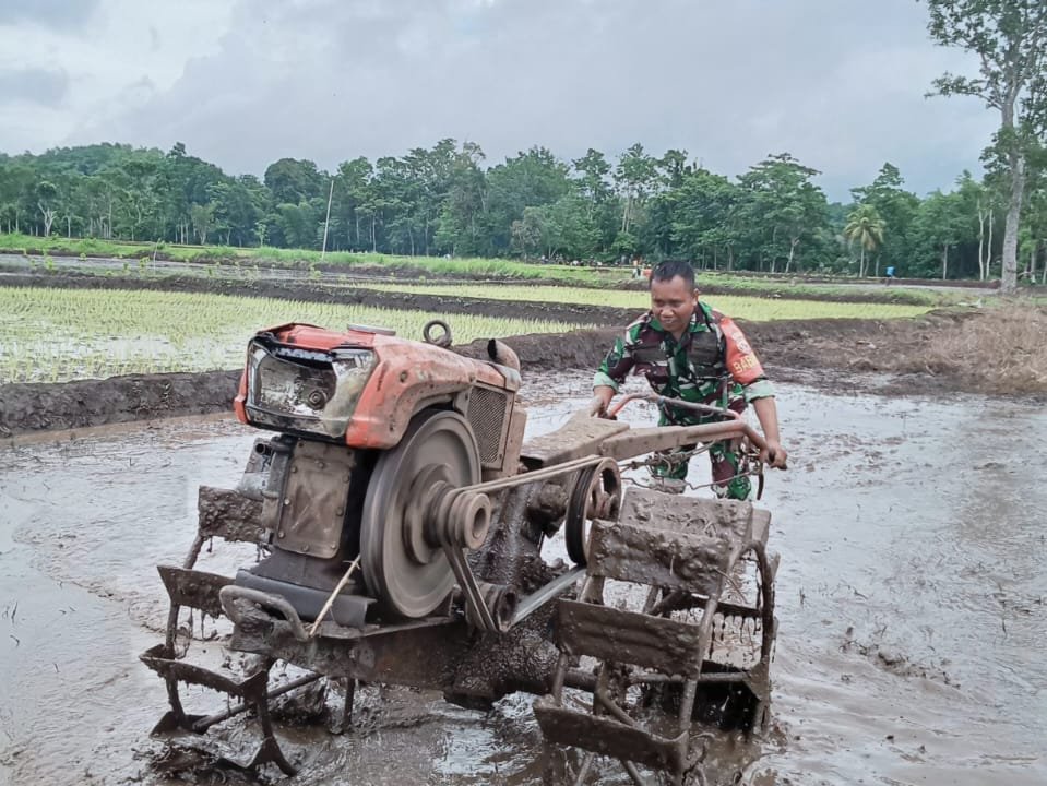 Sinergi TNI dan Petani: Babinsa Koramil 02/Walakaka Siapkan Lahan Sawah di Desa Sodana