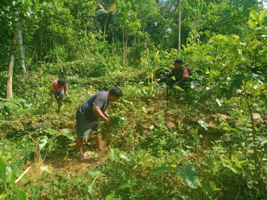 Babinsa Koramil 01/Loli Tingkatkan Komunikasi Sosial dengan Warga Sumba Barat