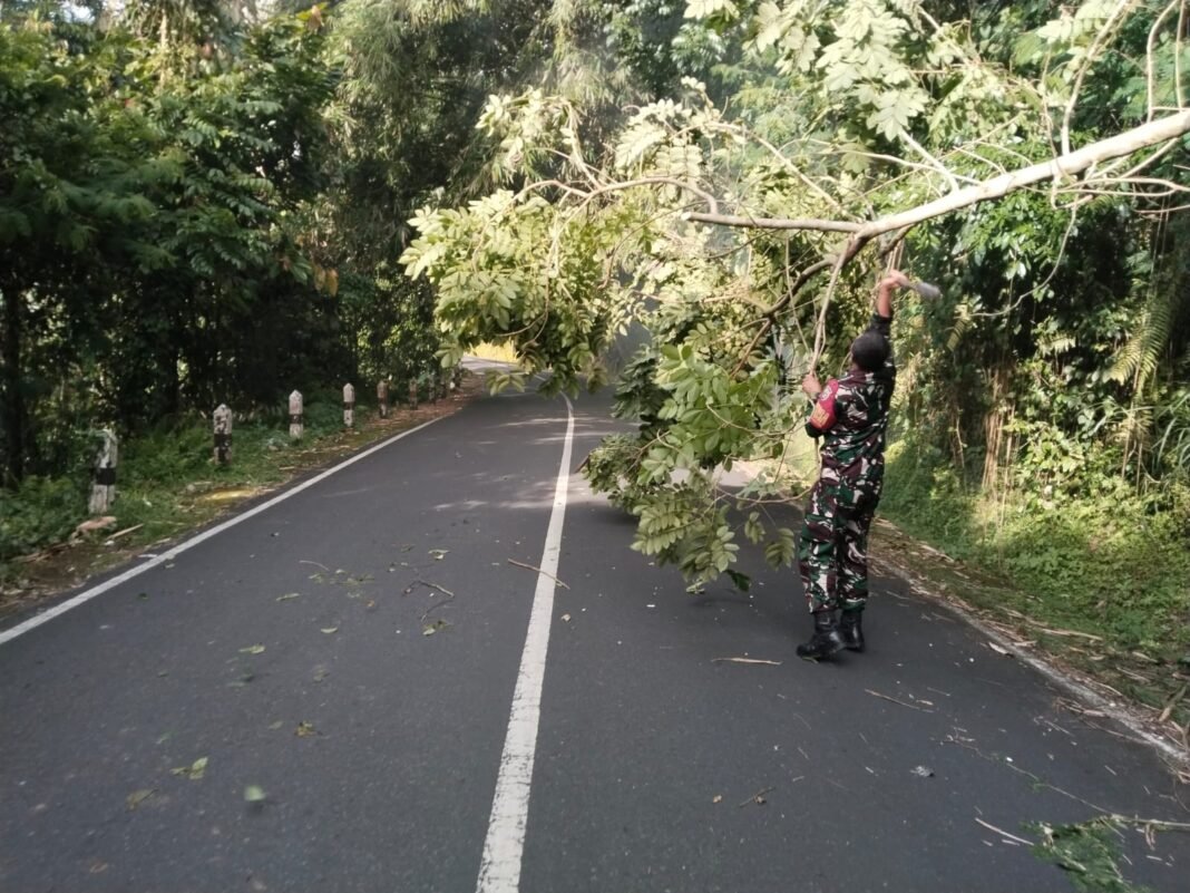 TNI Sigap Bersihkan Pohon Tumbang di Jalur Provinsi Tembuku